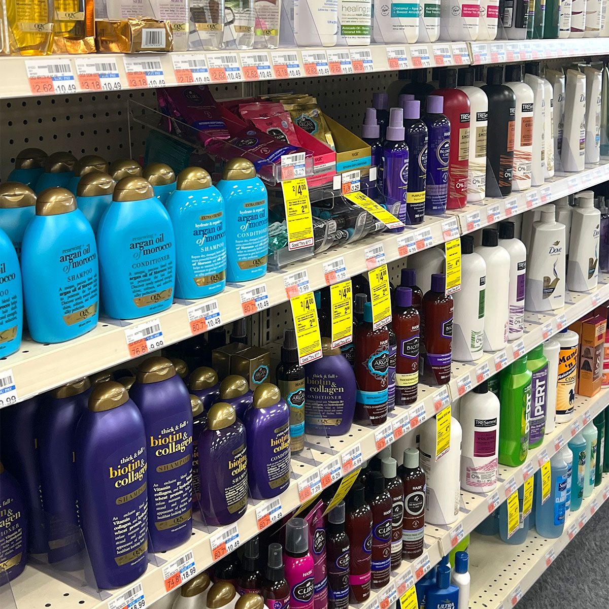 shampoo haircare products lined up drugstore shelf