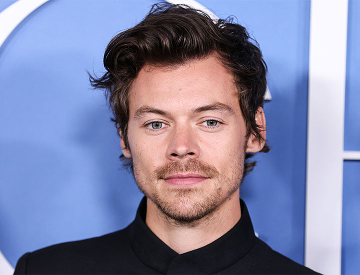 Harry Styles My Policeman premiere