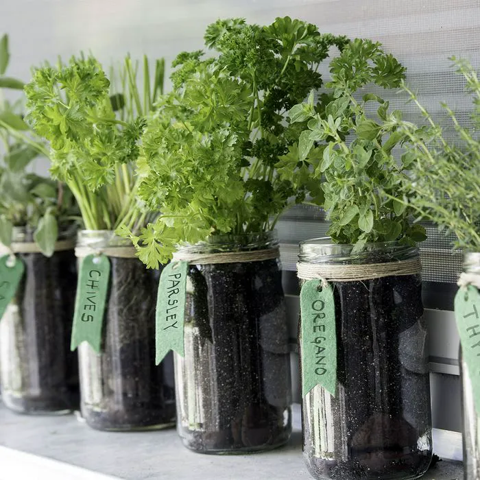 "Hand picking herbs from a garden"