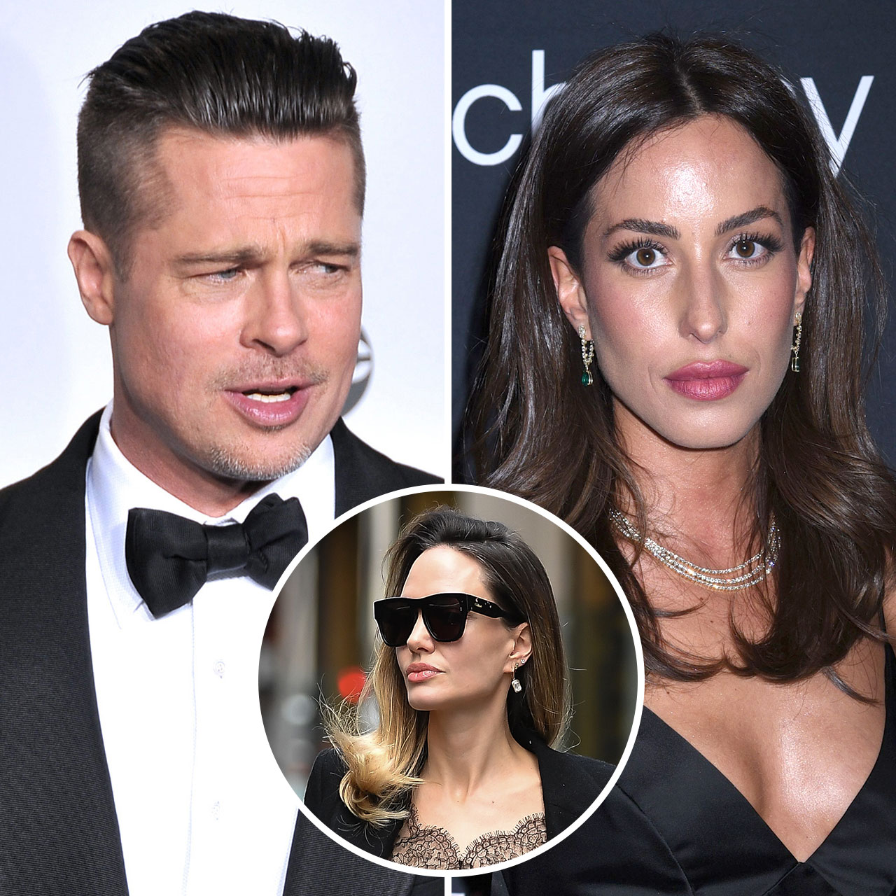 Brad Pitt's Girlfriend Ines De Ramon Is Facing Her Own Legal Issues As His  Bitter Lawsuit With Angelina Jolie Rages On - SHEfinds