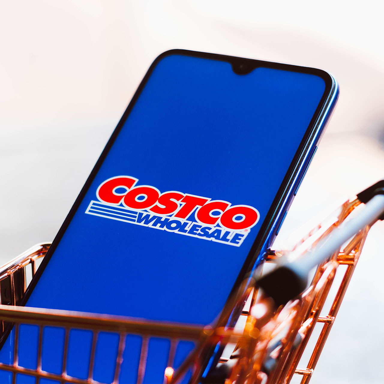 costco app on iphone in mini shopping cart