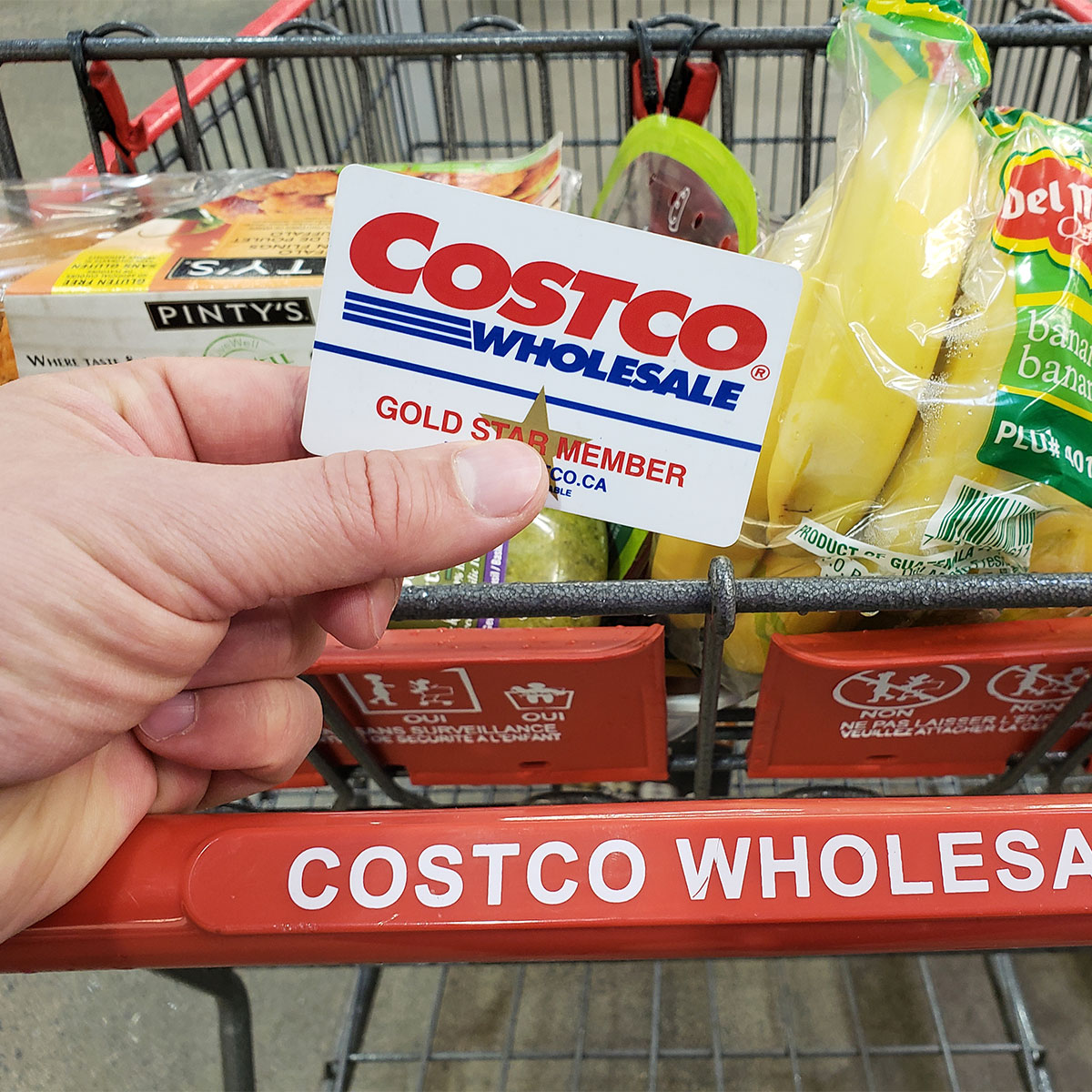 costco membership card