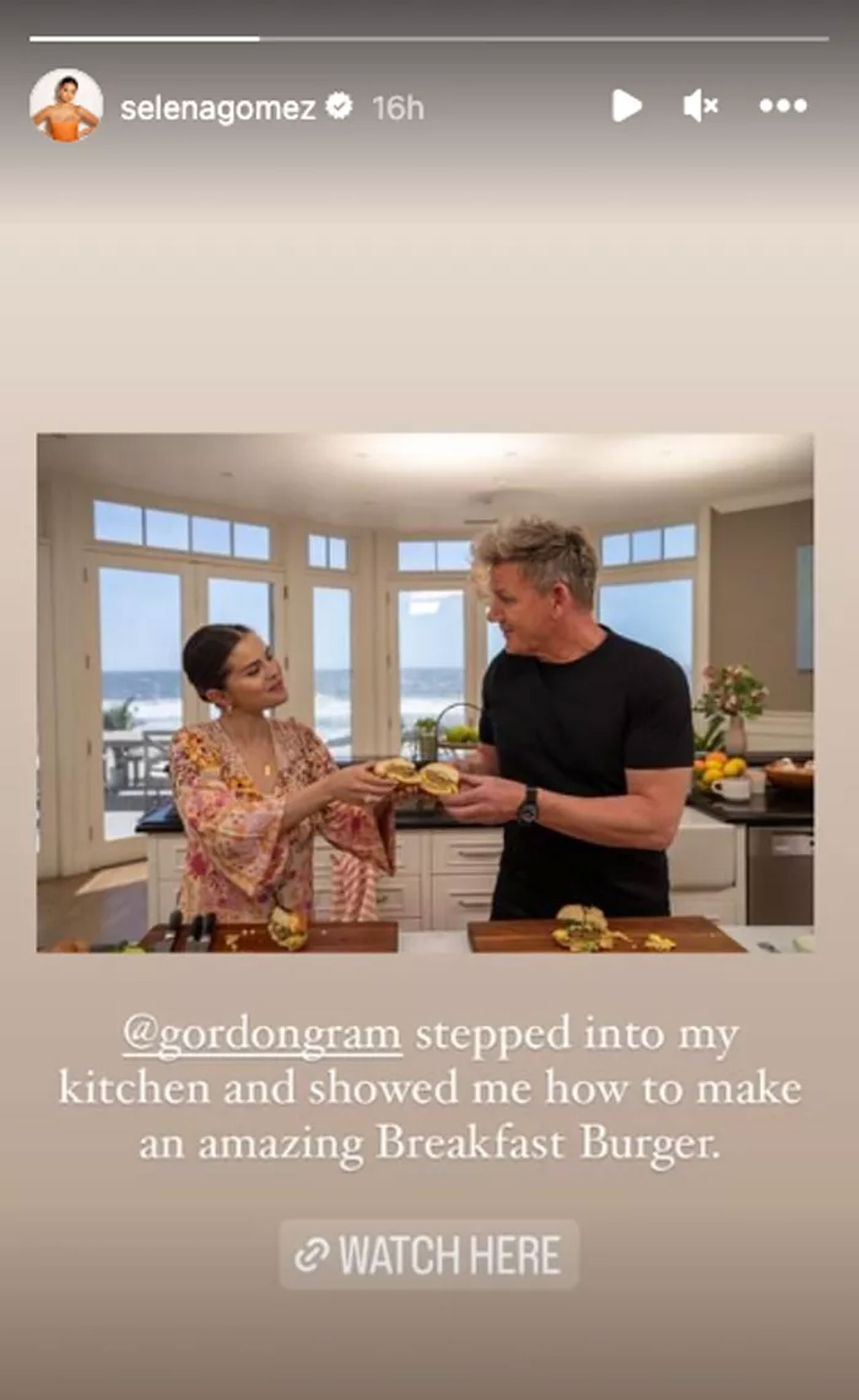 Selena Gomez Instagram Story Gordon Ramsay