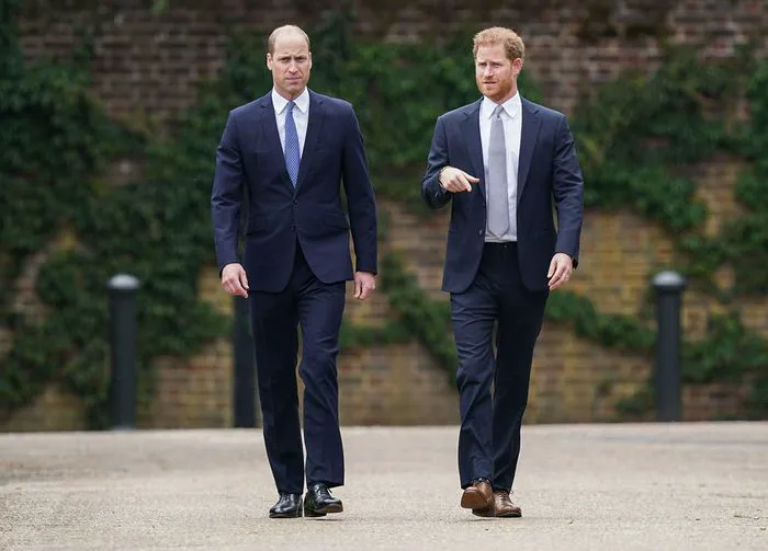 Prince Harry Prince William inveiling Princess Diana statue