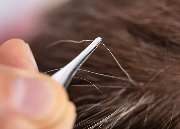 grey-hair-in-tweezer