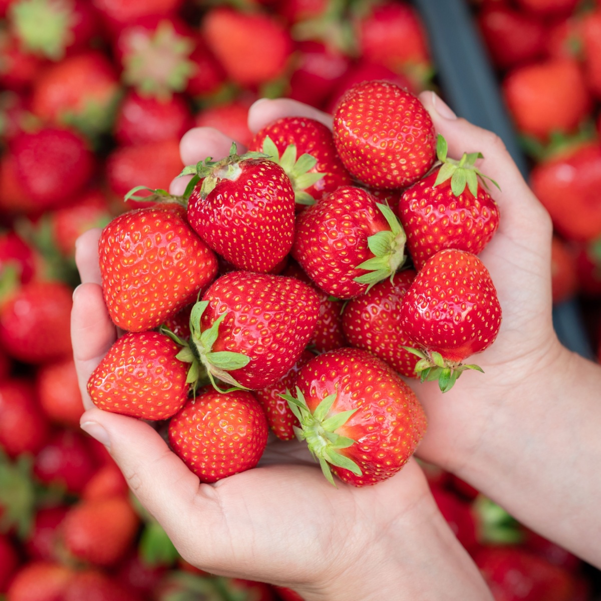 strawberries