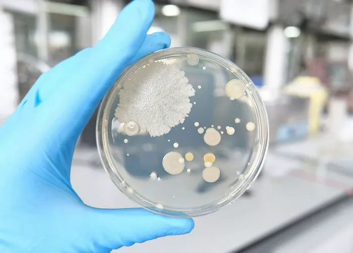 listeria