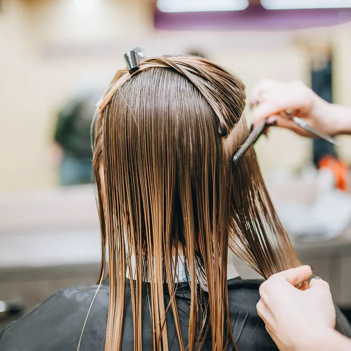 "Hairdresser styling a woman's hair in a beauty salon"