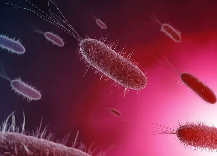 listeria