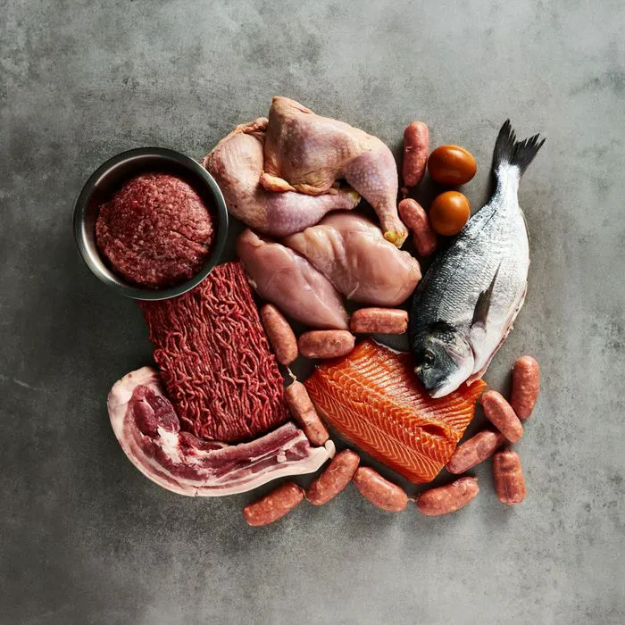 animal protein