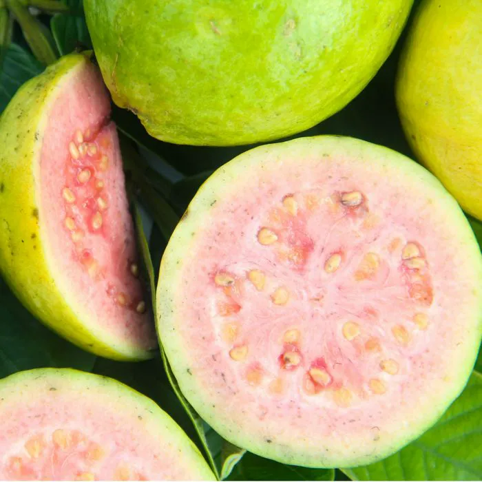 guava