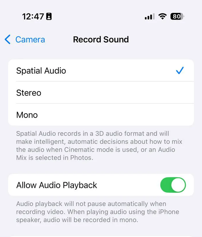 iphone-allow-audio-playback