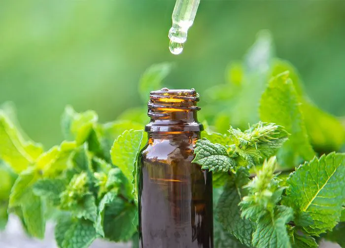 peppermint-oil