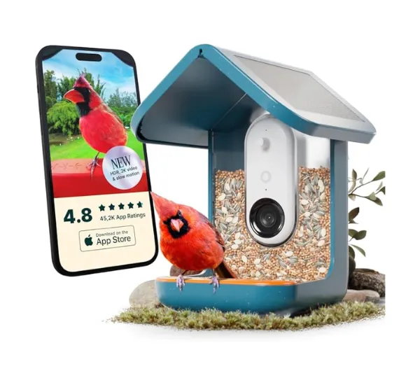 Bird Buddy Pro Solar Smart Bird Feeder with camera