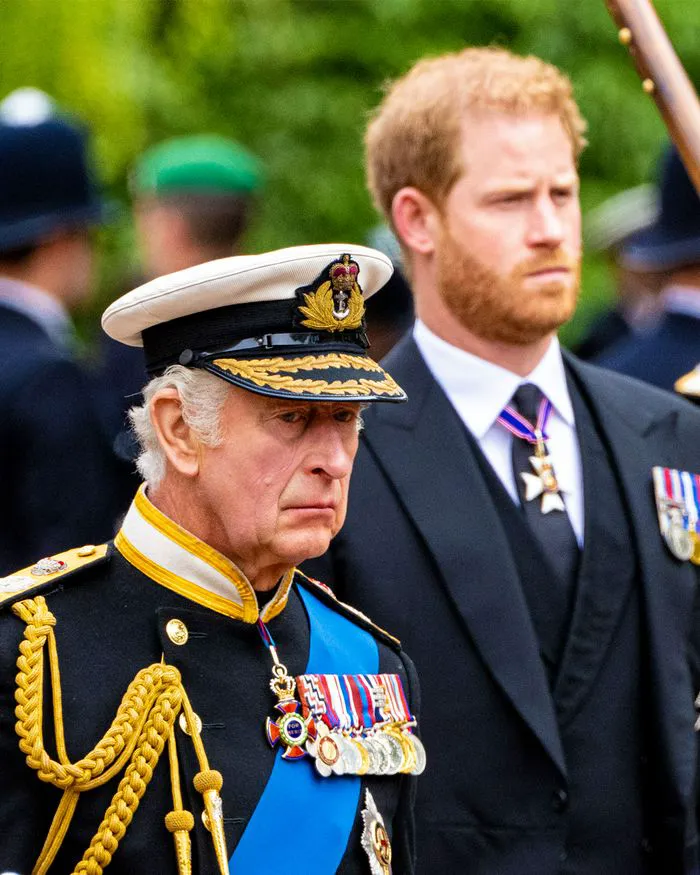 king Charles and prince harry