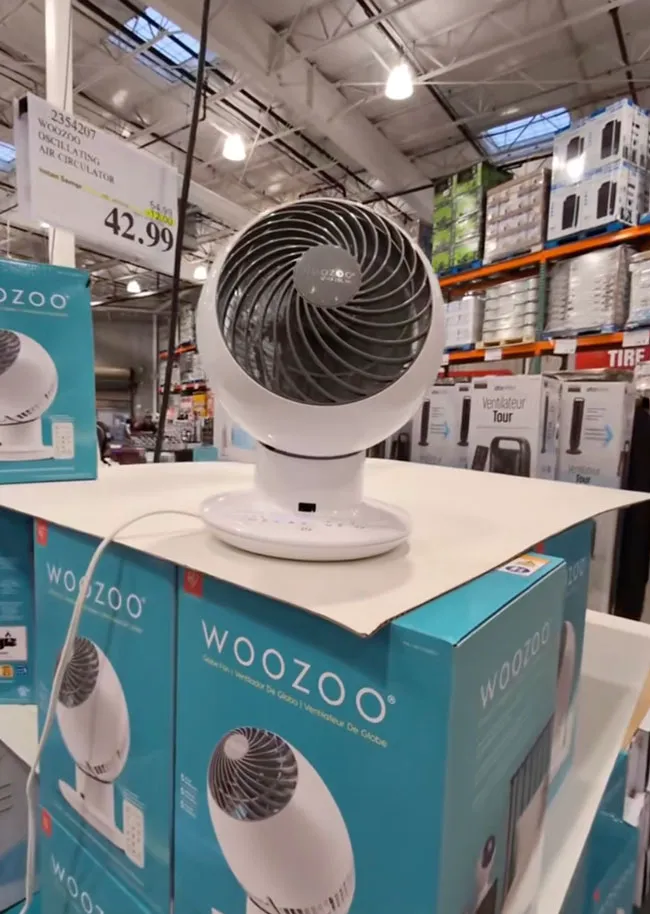 Costco Woozoo Globe Fan in stylish design