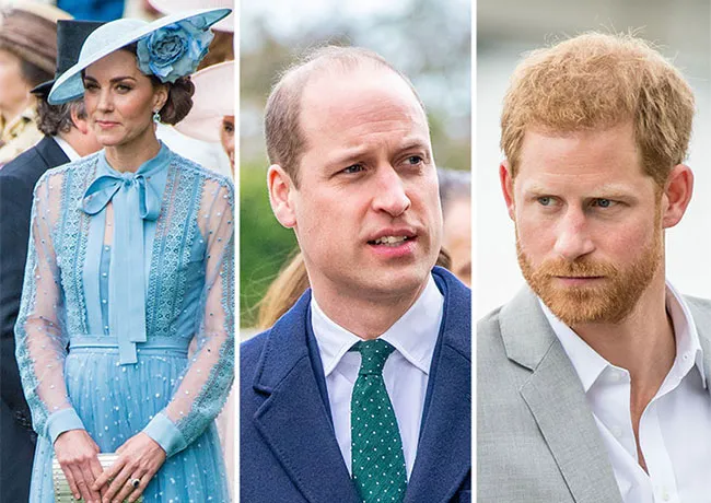 Kate Middleton and Prince Harry and Prince William