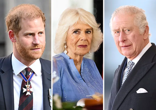 Prince Harry and Queen Camilla and King Charles