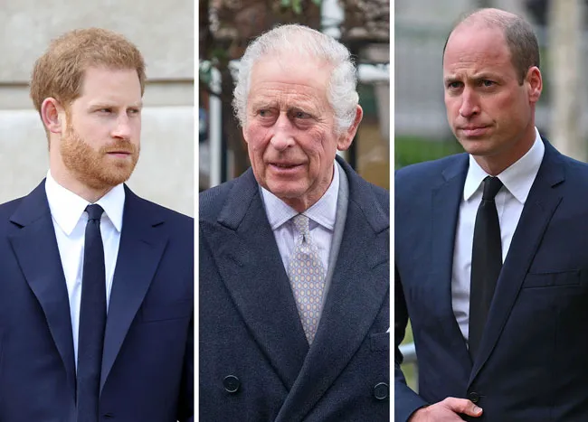 prince charles prince william prince harry