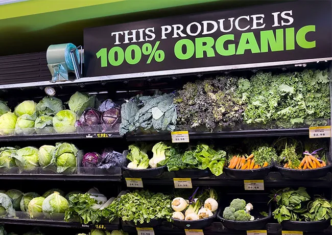 Fresh organic produce displayed at a market