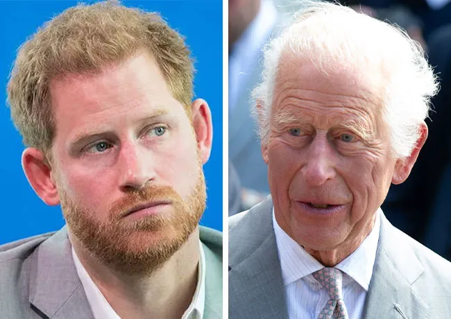 King Charles and Prince Harry
