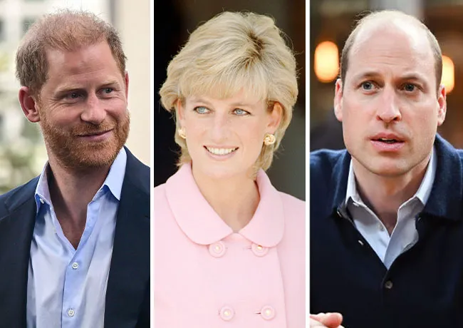 Prince Harry Princess Diana Prince William