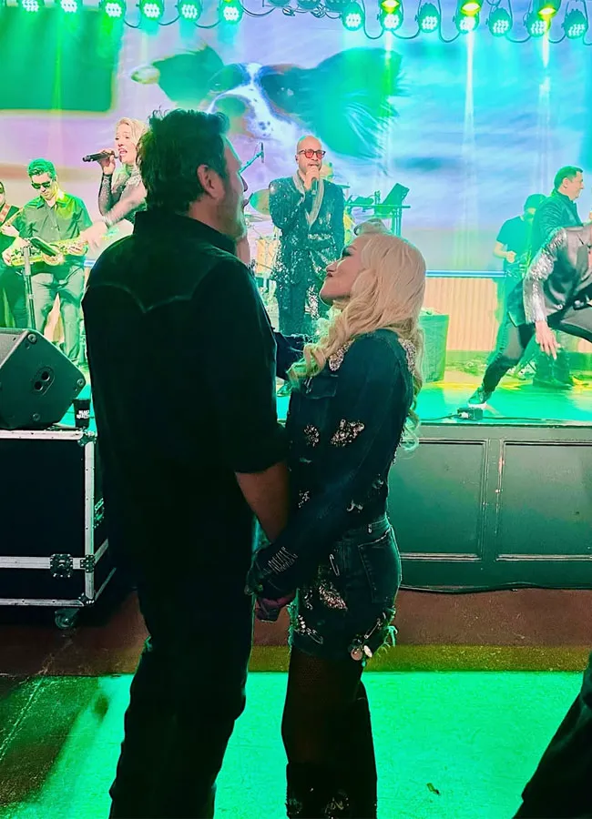 Gwen Stefani and Blake Shelton at concert