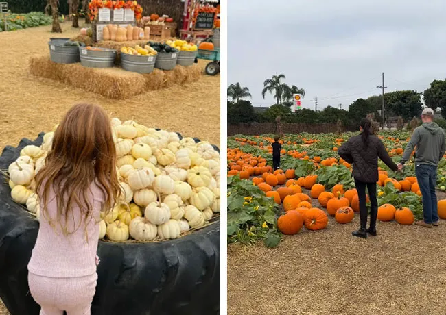 Meghan Markle Halloween pumpkin patch Instagram video with Prince Harry Prince Archie Princess Lilibet
