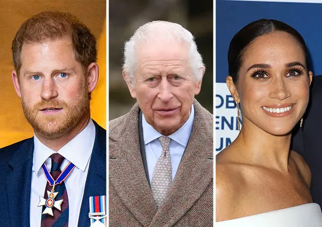Prince Harry and King Charles and Meghan Markle