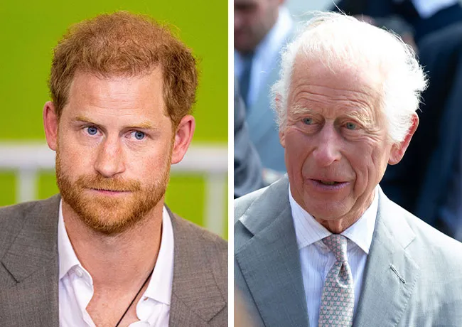 King Charles and Prince Harry