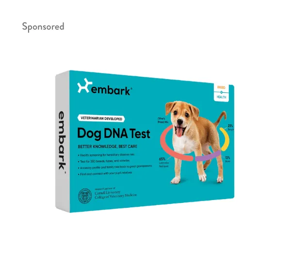 Embark Dog DNA Test for breed analysis