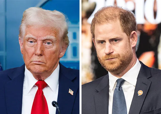 prince harry donald trump