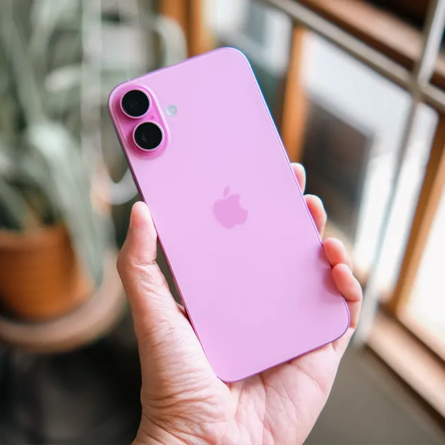 Image from SHEfinds