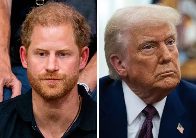 prince harry donald trump