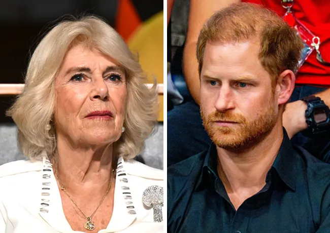 Queen Camilla and Prince Harry