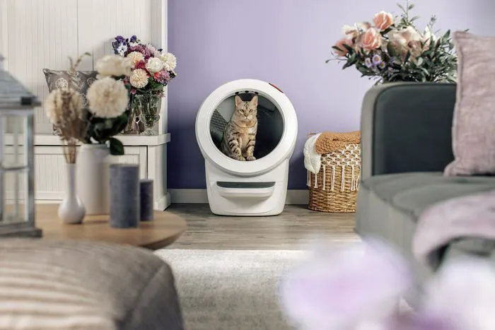 Image from SHEfinds