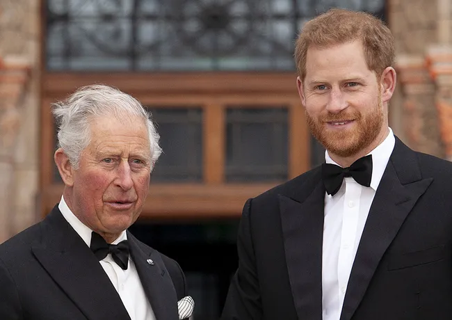 prince harry king charles