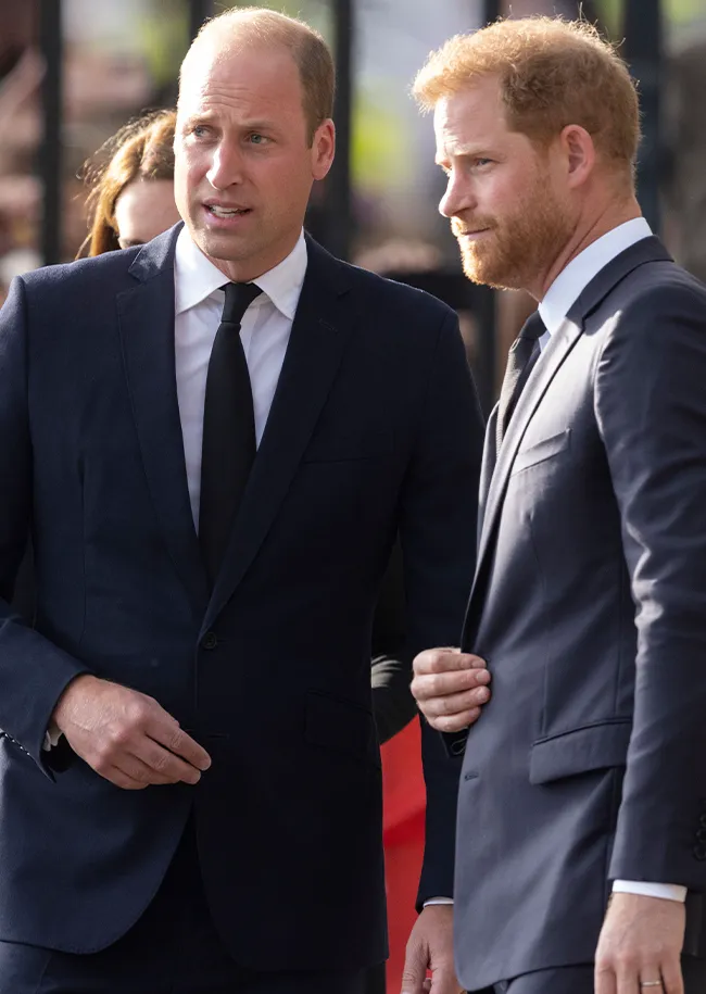 Prince Harry and Prince William