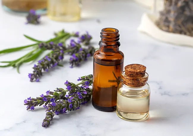 lavender-oil