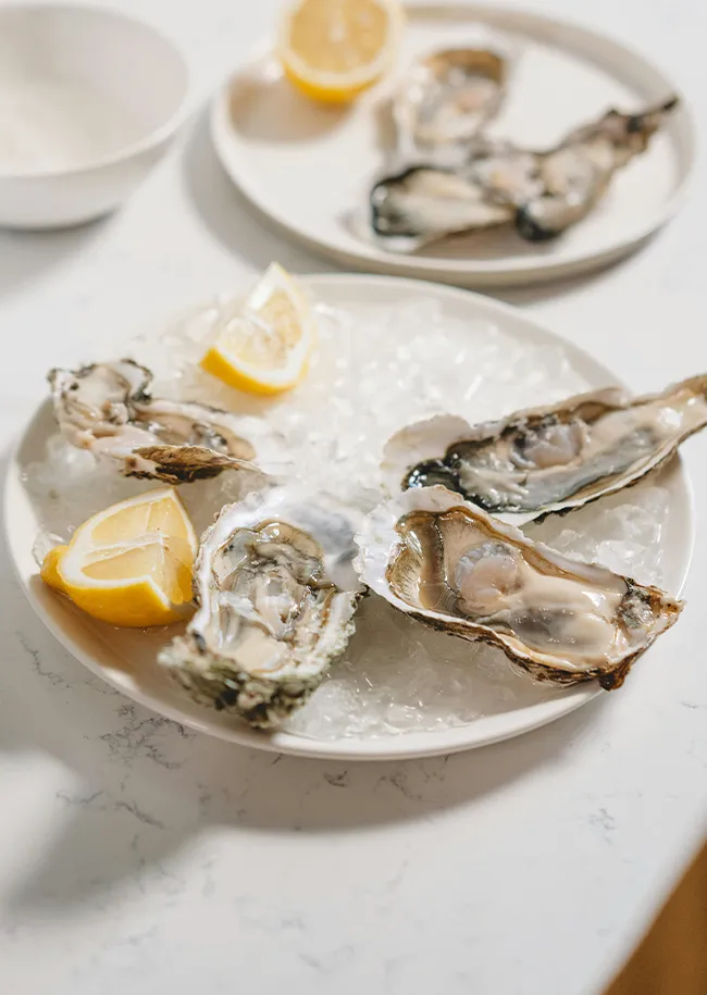 oysters
