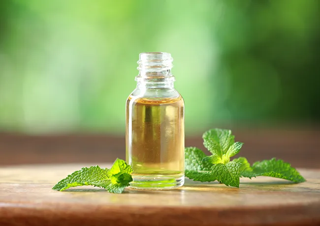 peppermint-oil