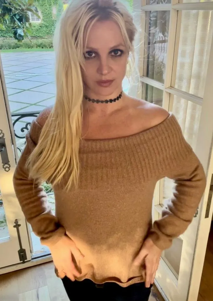 Britney Spears showcases her outfit in a recent Instagram post.