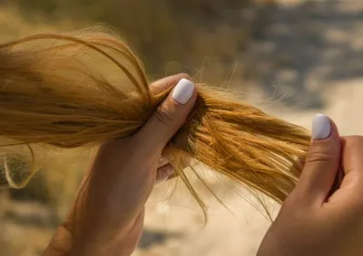 never-trimming-dead-ends