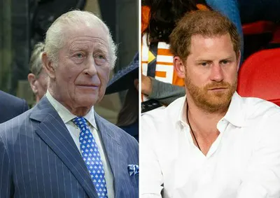 prince harry king charles