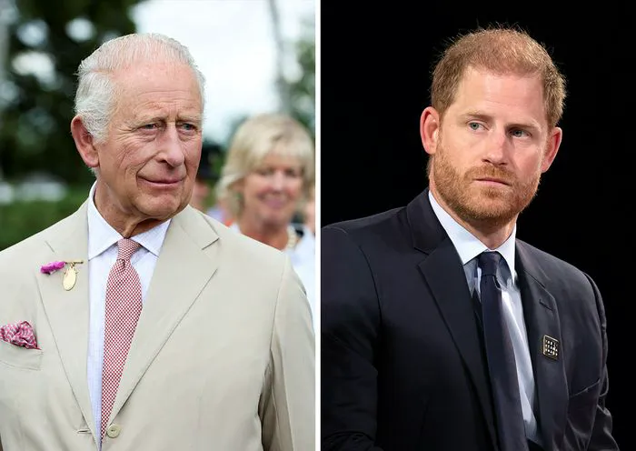 King Charles and Prince Harry