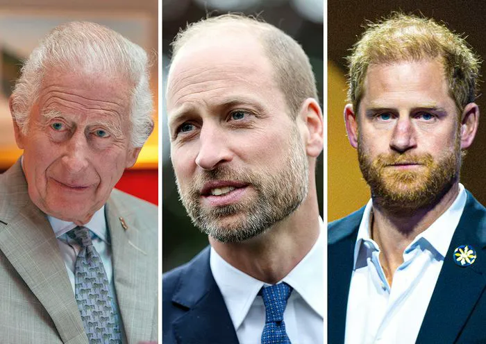King Charles Prince William Prince Harry