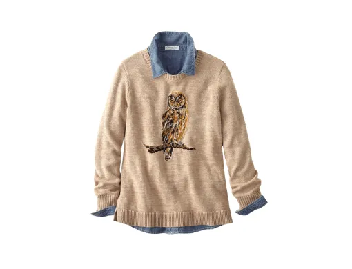 "How Wise Owl Sweater with woodland motif"