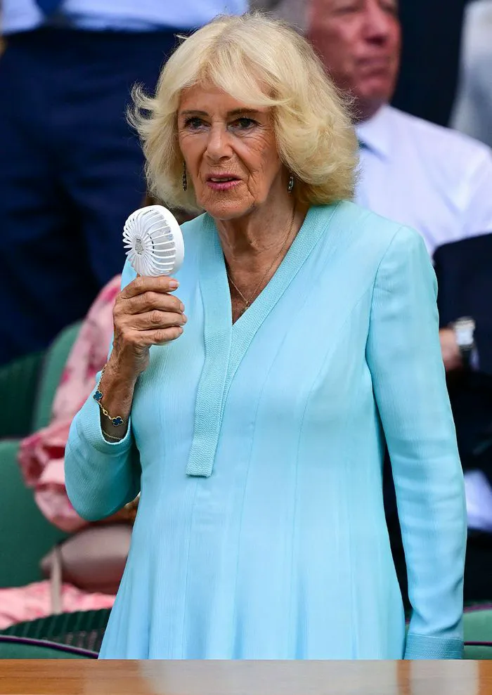 Queen Camilla icy-blue dress at Wimbledon