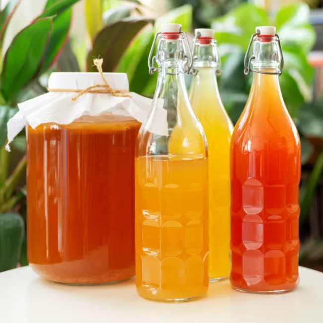 "Various kombucha bottles on a shelf"