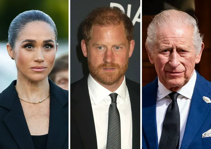 Prince Harry Meghan Markle King Charles